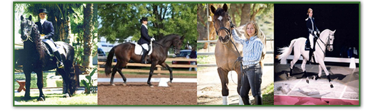 BETHANY BERNATSKY ~ Bethany has been training and showing horses for over 35 years